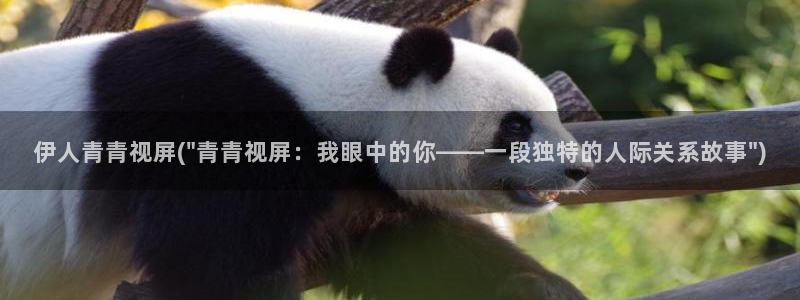 久久伊人青草影院