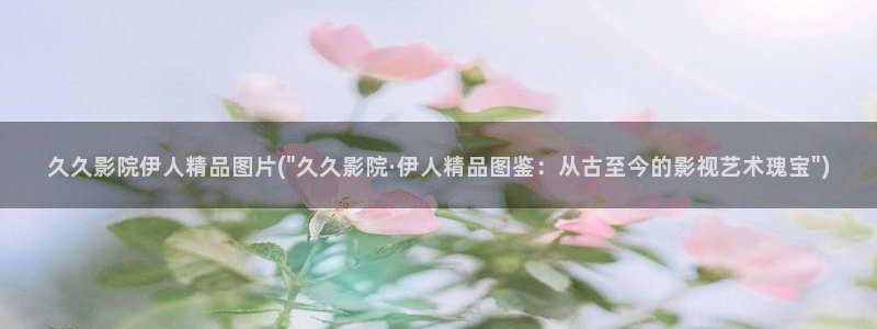 伊人久久影院8x