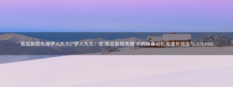 伊人久久一影院最新地址