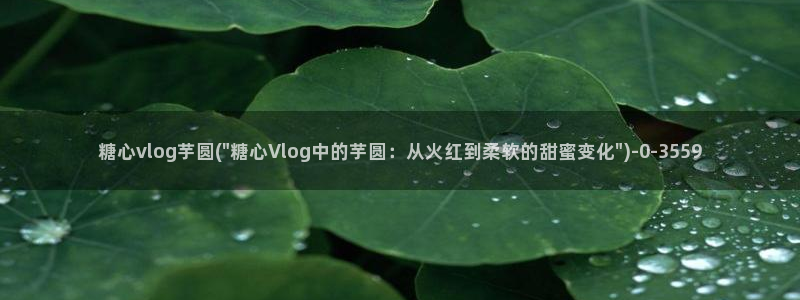 糖心小视频