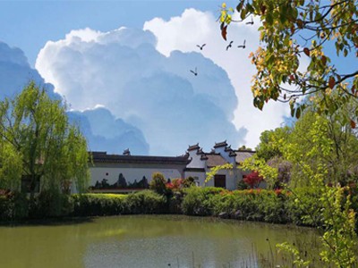 糖心VLGO拍摄技巧作品六