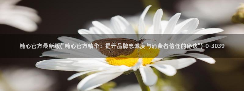 糖心vlog视频下载