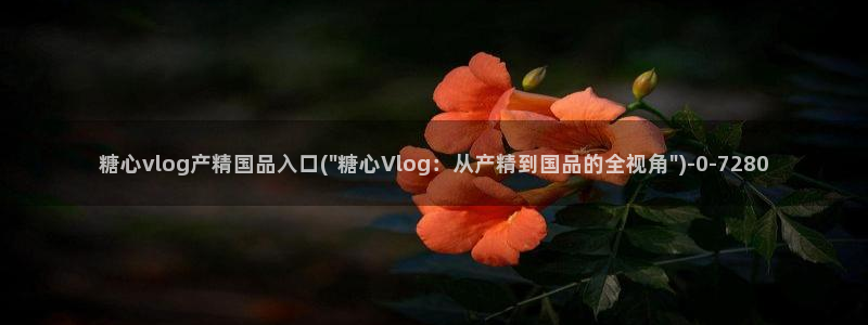 破解版糖心vlog下载