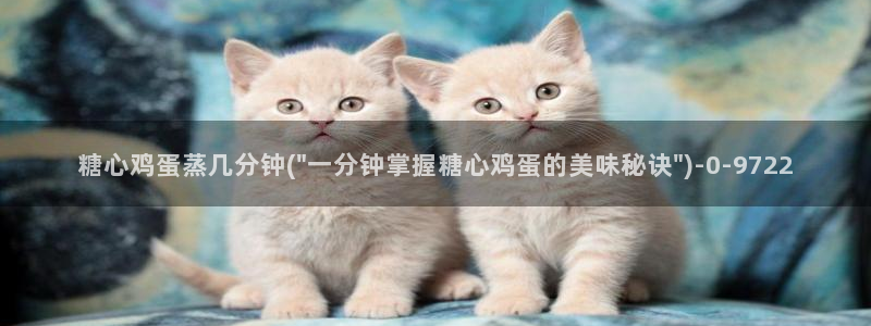 糖心vlog官网进入