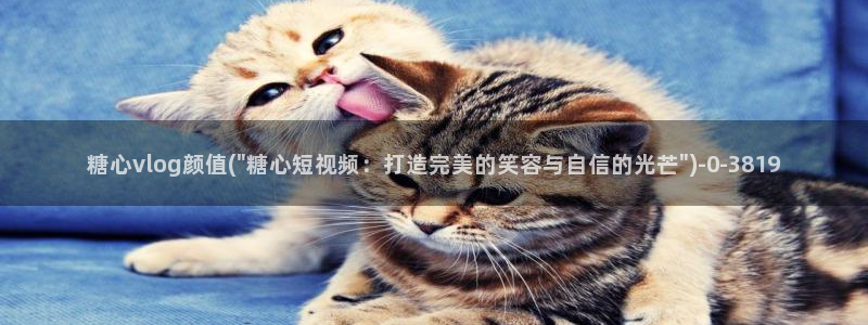 糖心vlog什么意思