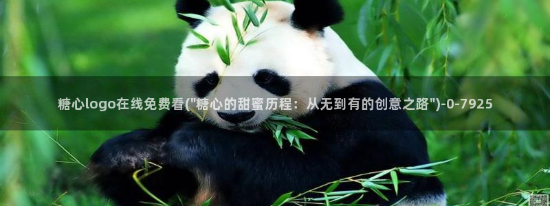 心糖vlog免费