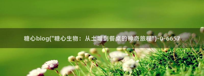 糖心vlog苹果版下载