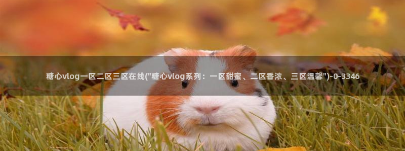 糖心vlog免费账号