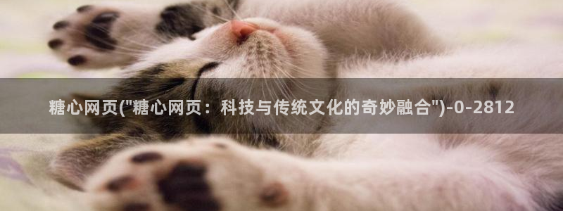 心糖vlog免费下载