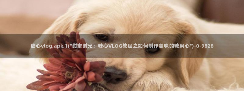 九一糖心vlog
