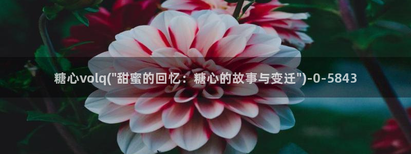 糖心vlog深夜释放自己ios