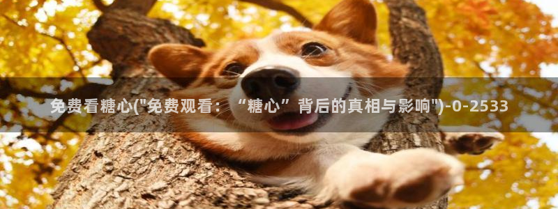 糖心vlog解锁版的功能介绍