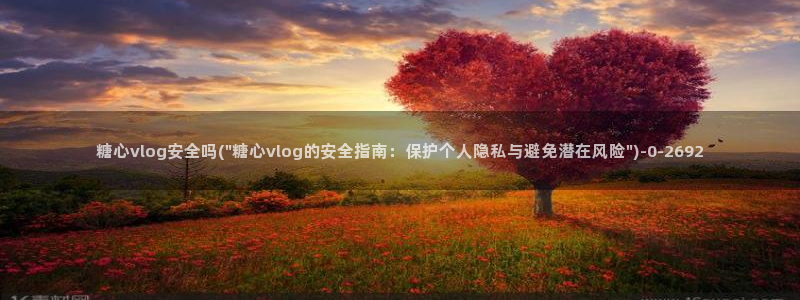 糖心vlog免